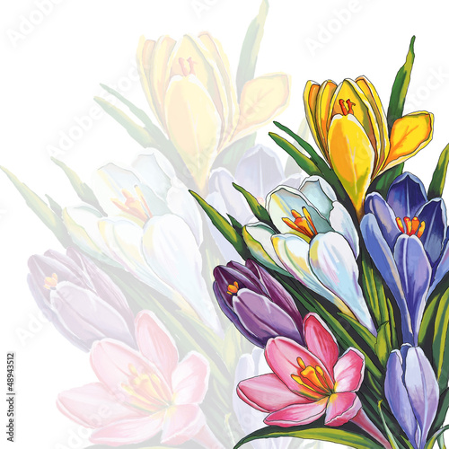 horizontal floral design element with snowdrop