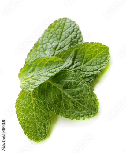 Mint isolated on white