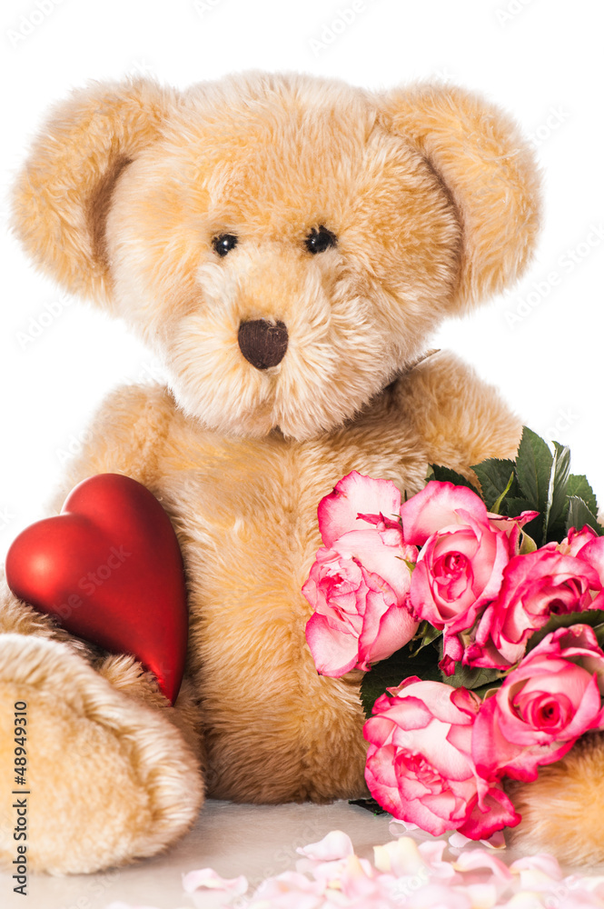 Teddy with roses - Teddy mit Rosen Stock Photo | Adobe Stock