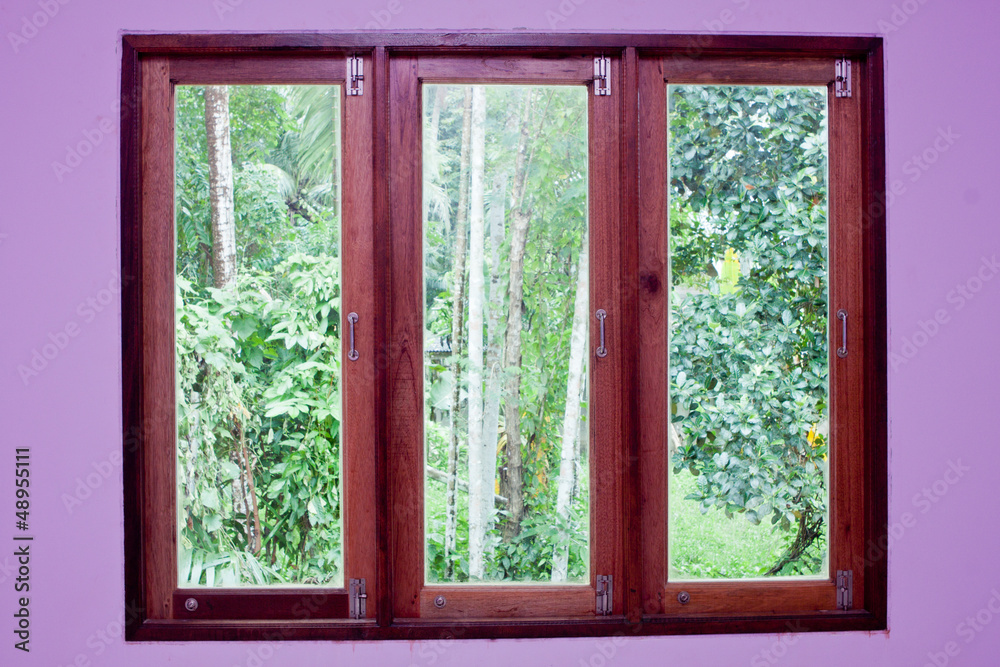 Window Window