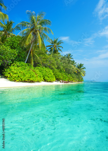 landscape of tropical island beach with palms