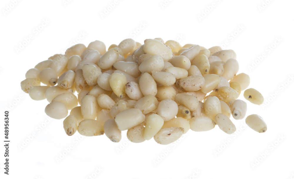 cedar nuts cedar nuts