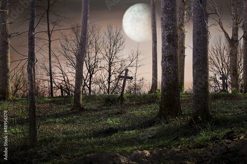 Moon over the cemetery © Stock Photos & Video