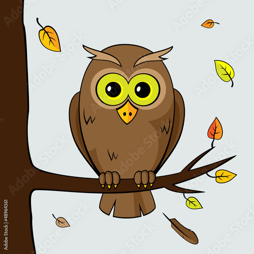 cute owl