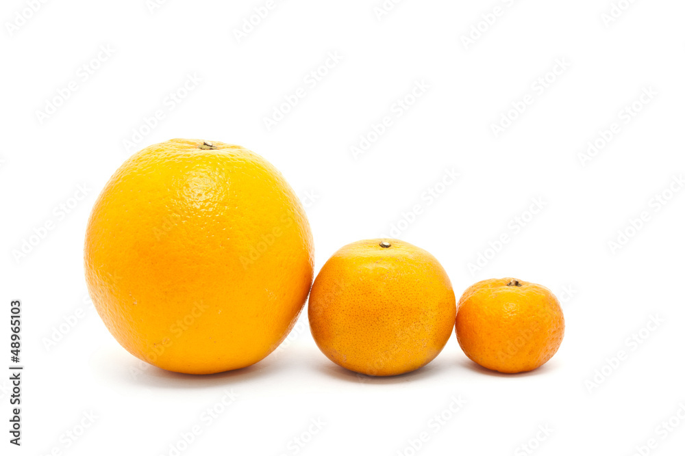 Orange Family in Size Order isolated on white Orange Family in Size Order isolated on white