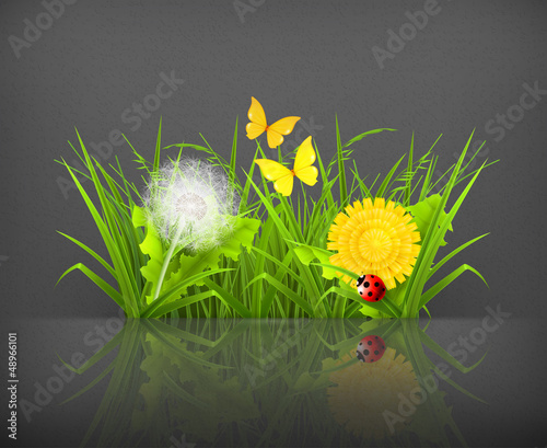 Summer grass