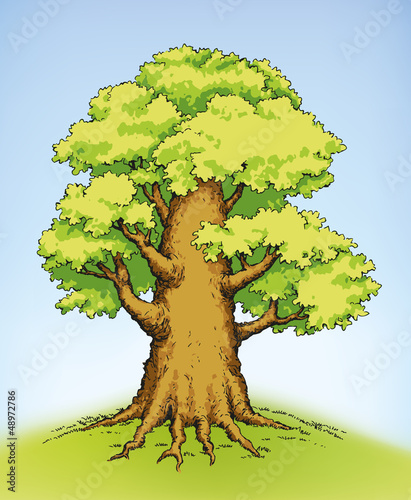 Vector drawing of a mighty tree with lush green foliage