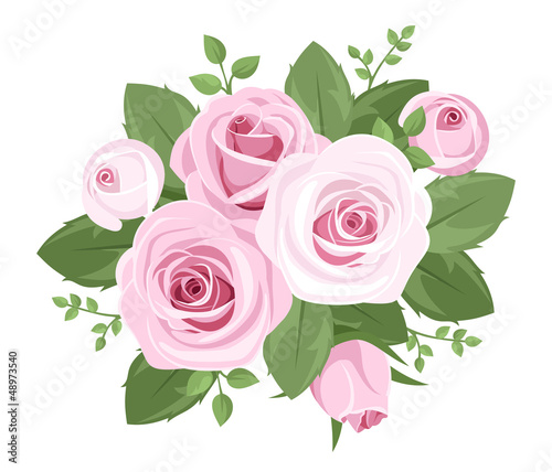 Pink roses, rosebuds and leaves. Vector illustration.