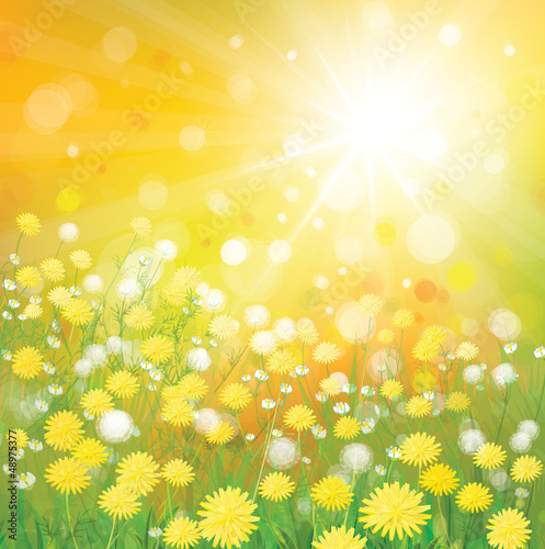 Vector of sky background with yellow dandelions.