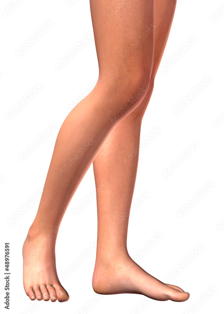 leg leg