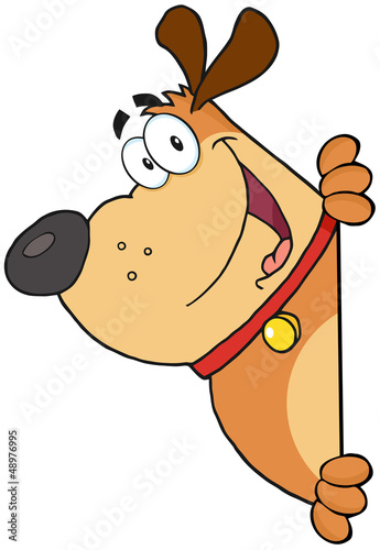 Fat Dog Looking Around A Blank Sign