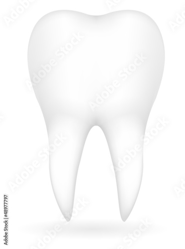 tooth vector illustration