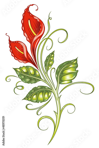 Calla, Lilie, lilly, Ranke, flora, Blume, Blüte, rot