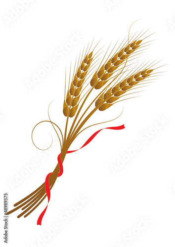 sheaf of wheat tied with a ribbon
