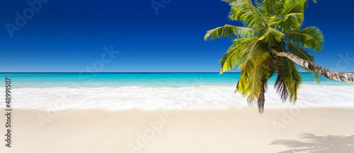 Fototapeta Naklejka Na Ścianę i Meble - seychelles plage