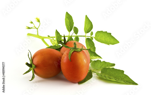 Tomatoes and leafs isolated on white background