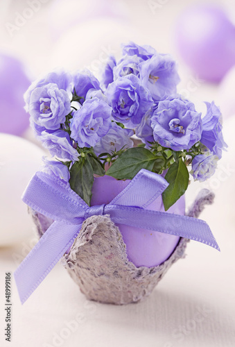 Fototapeta Naklejka Na Ścianę i Meble -  Campanula flowers