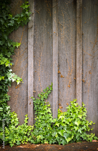 Ivy Wall Frame