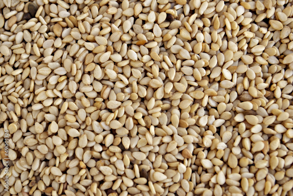 Sesame Seeds Sesame Seeds