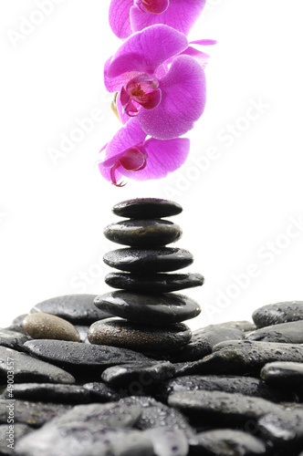 Stack stones in balance with pink orchid
