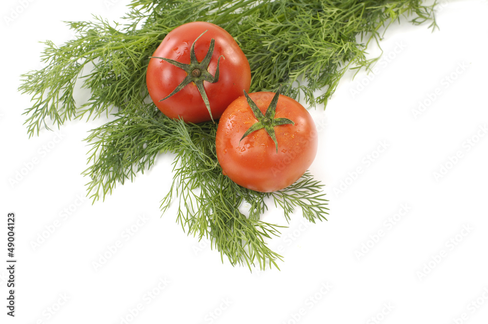 red tomato with fresh green coriander red tomato with fresh green coriander