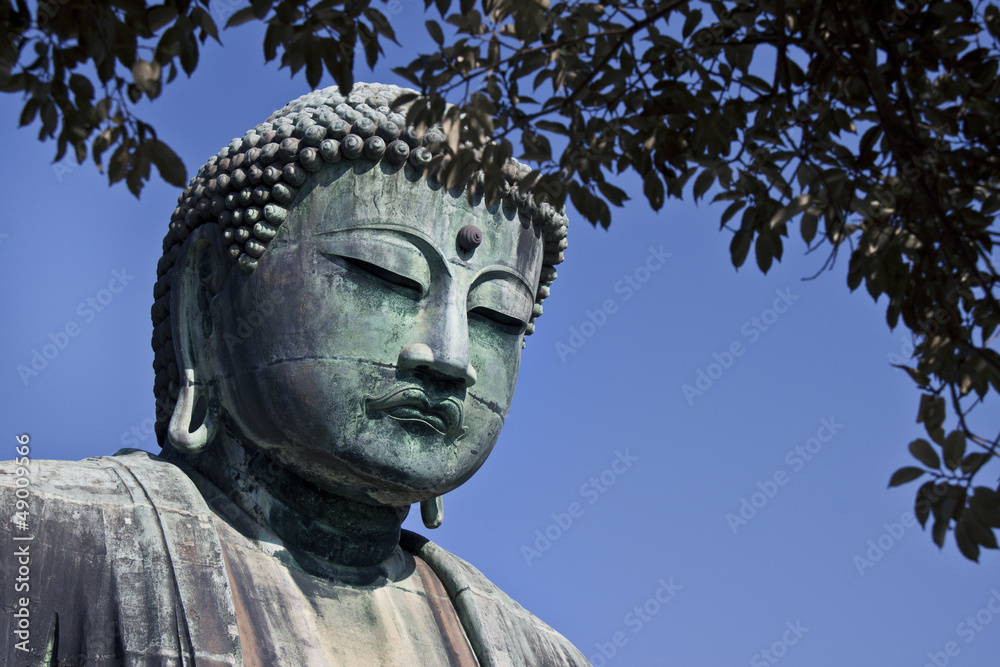 budda face and tree branches budda face and tree branches
