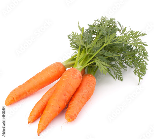 Carrot vegetable with leaves