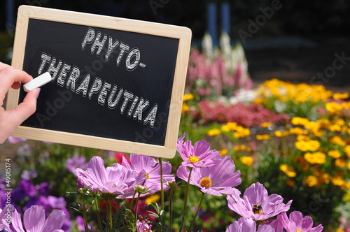 Phytotherapeutika Kreidetafel photo