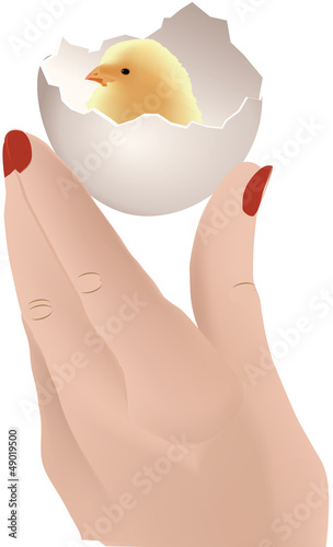 uovo con pulcino
