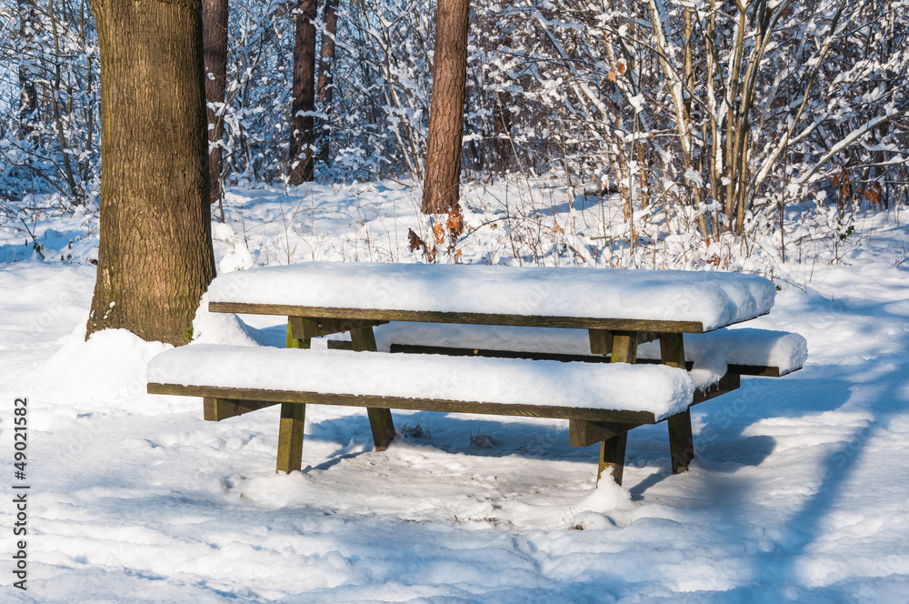 Snowy picnic table and bench at the edge of the forest