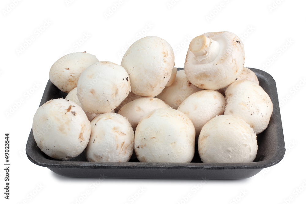 Mushrooms Mushrooms