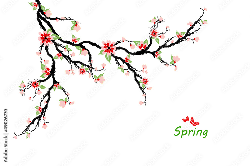 Fototapeta premium Spring cherry blossom branch with sakura flowers.