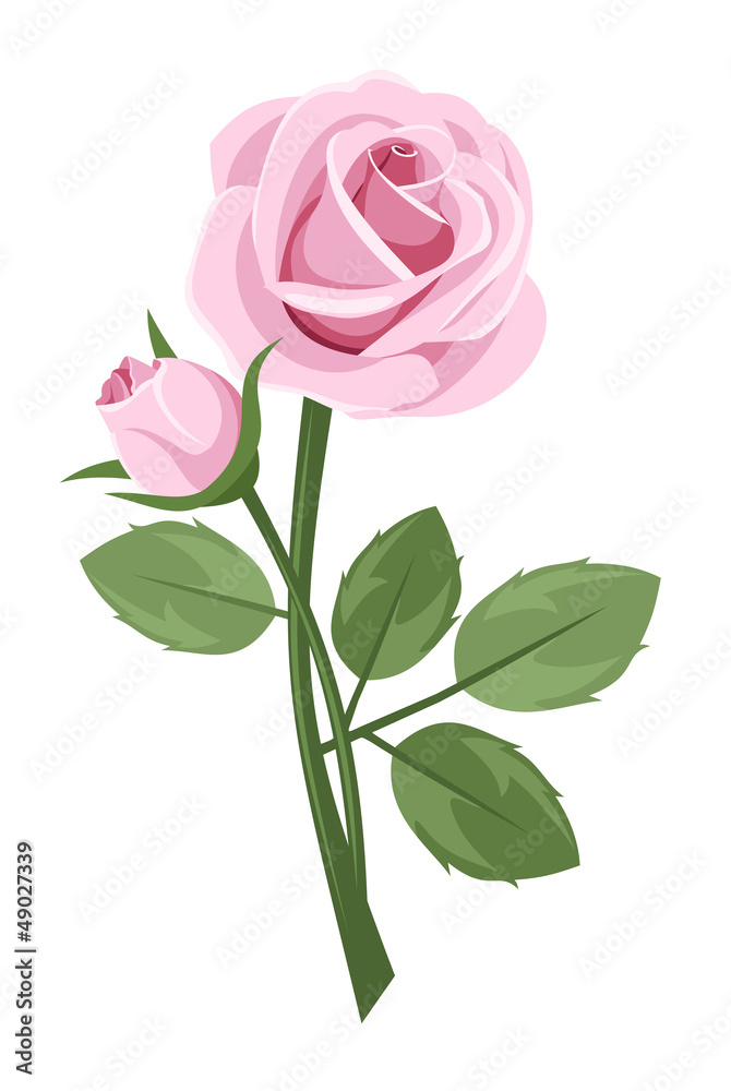 Naklejka premium Pink rose with stem isolated on white. Vector illustration.