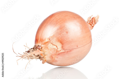 Ripe onion on a white reflective background