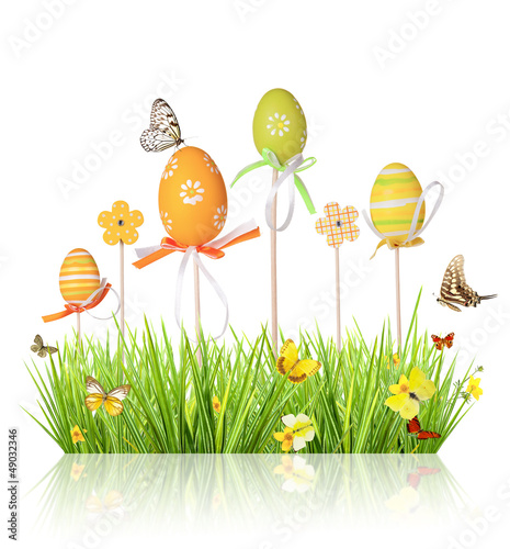 Easter colored eggs in grass  isolated on white background