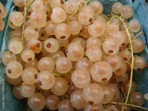Closeup of cluster of white currants