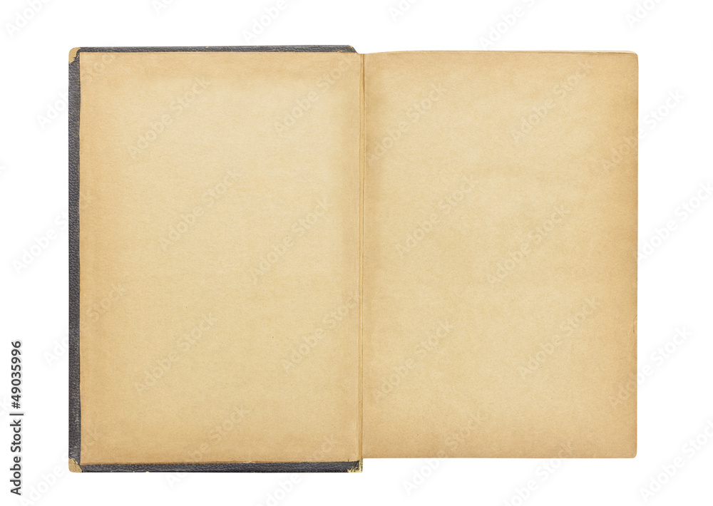 Blank First Page in Vintage Antique Book