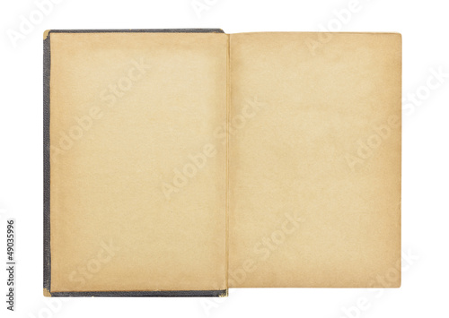 Blank First Page in Vintage Antique Book