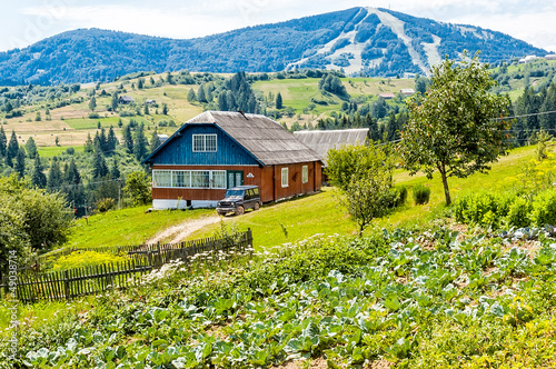 Photos A typical Dacha in the Ukrainian Carpathian mountains, and a field of cabbage
