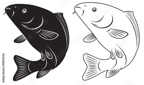 carp