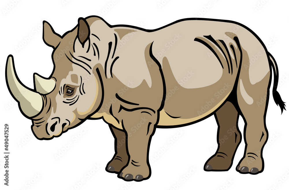 rhinoceros on white
