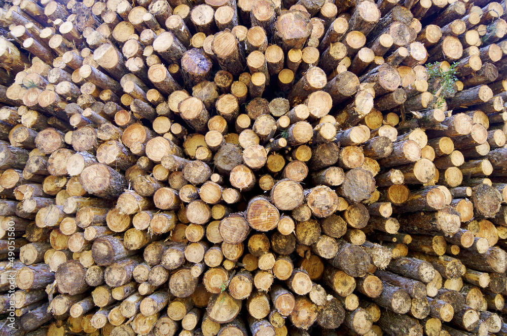 logs logs