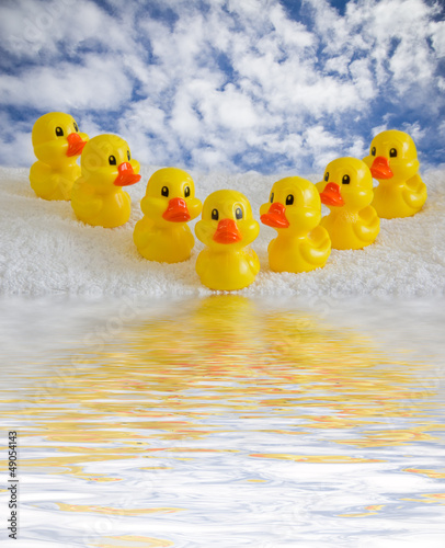 rubber ducklings