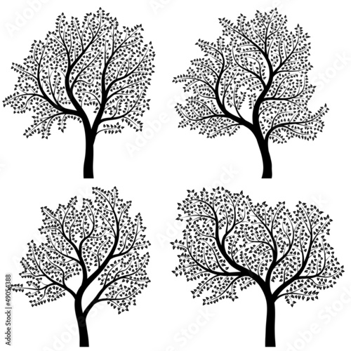 Abstract silhouettes of trees with leaves.