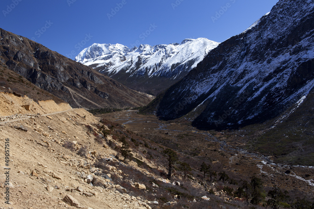 Obraz premium Tsopta Valley in North Sikkim.