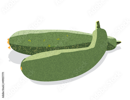 Two zucchini isolated on white background
