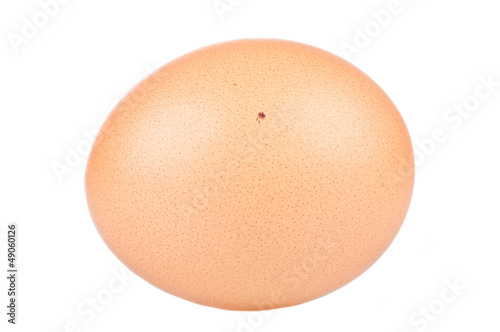 Close up of an egg over a white background