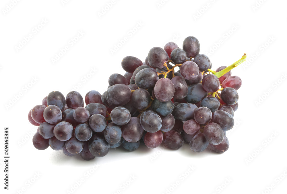 Grape cluster Grape cluster
