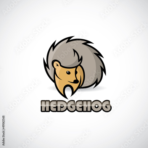 Cute hedgehog