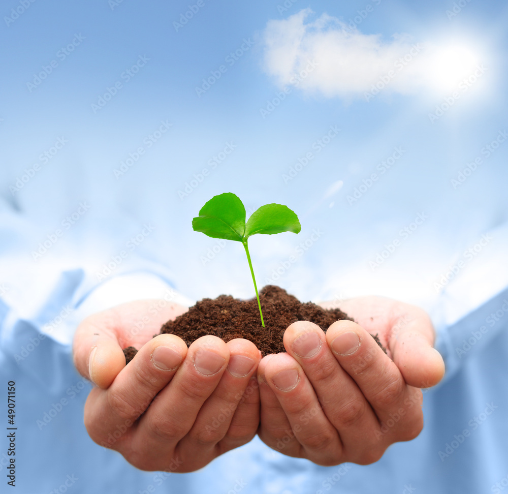 Man hands holding green plant. Ecology concept Man hands holding green plant. Ecology concept